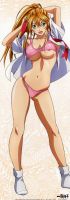 Ikki_tousen_20110828_180.jpg